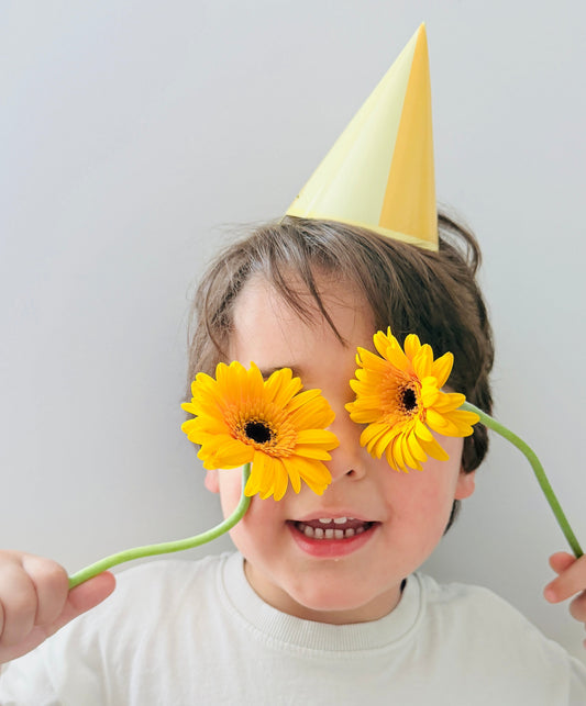 Assorted Pastel Mini DIY Party Hat (x8)