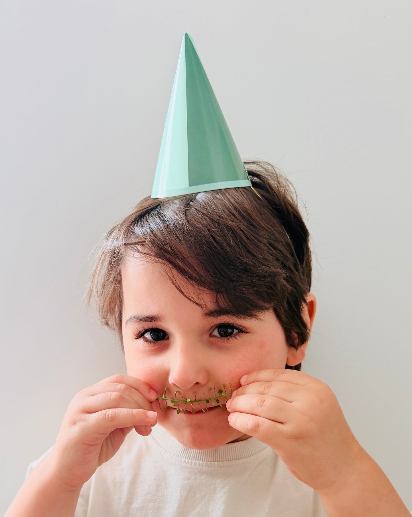 Assorted Pastel Mini DIY Party Hat (x8)